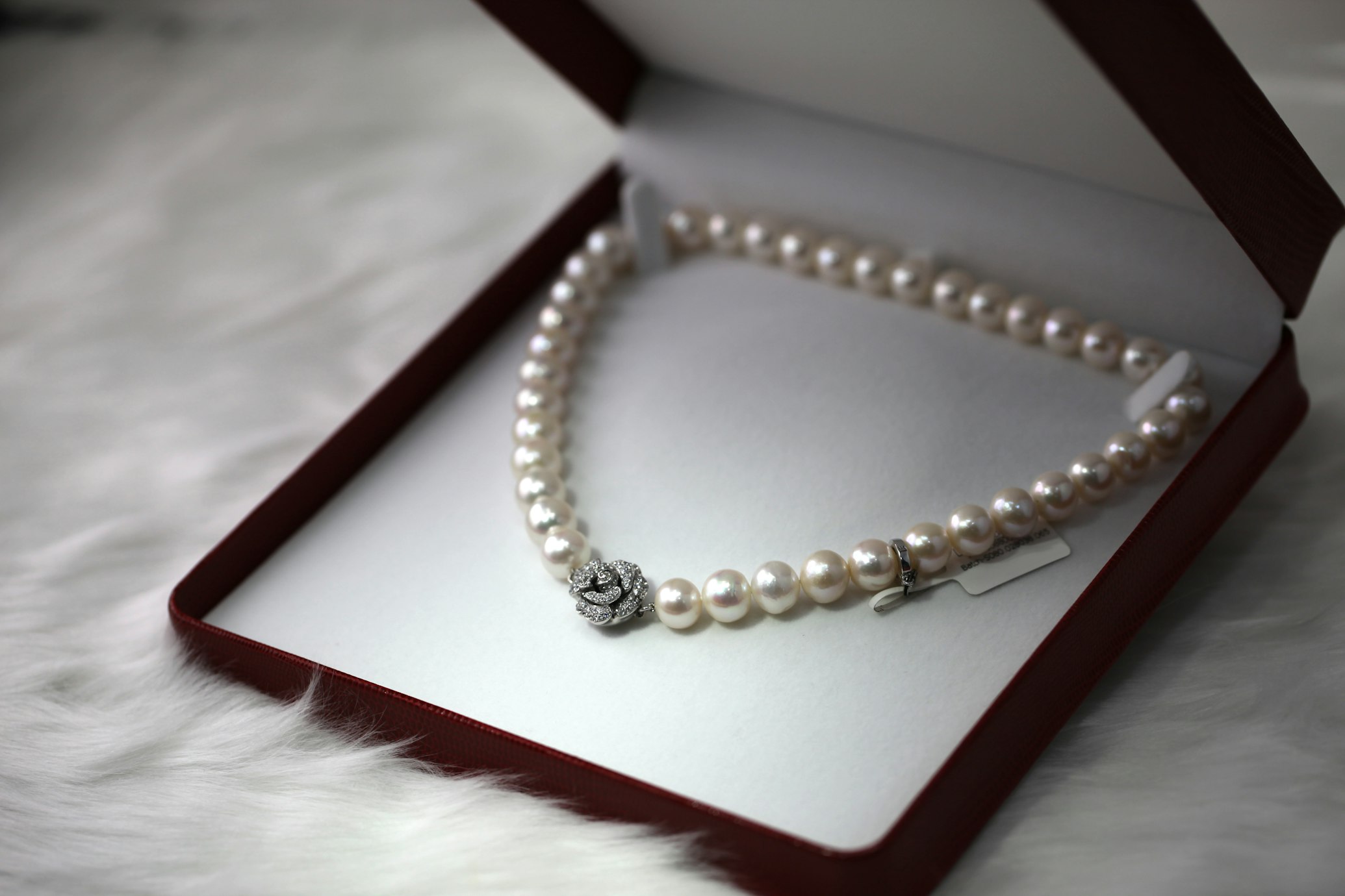 Bridal Collection